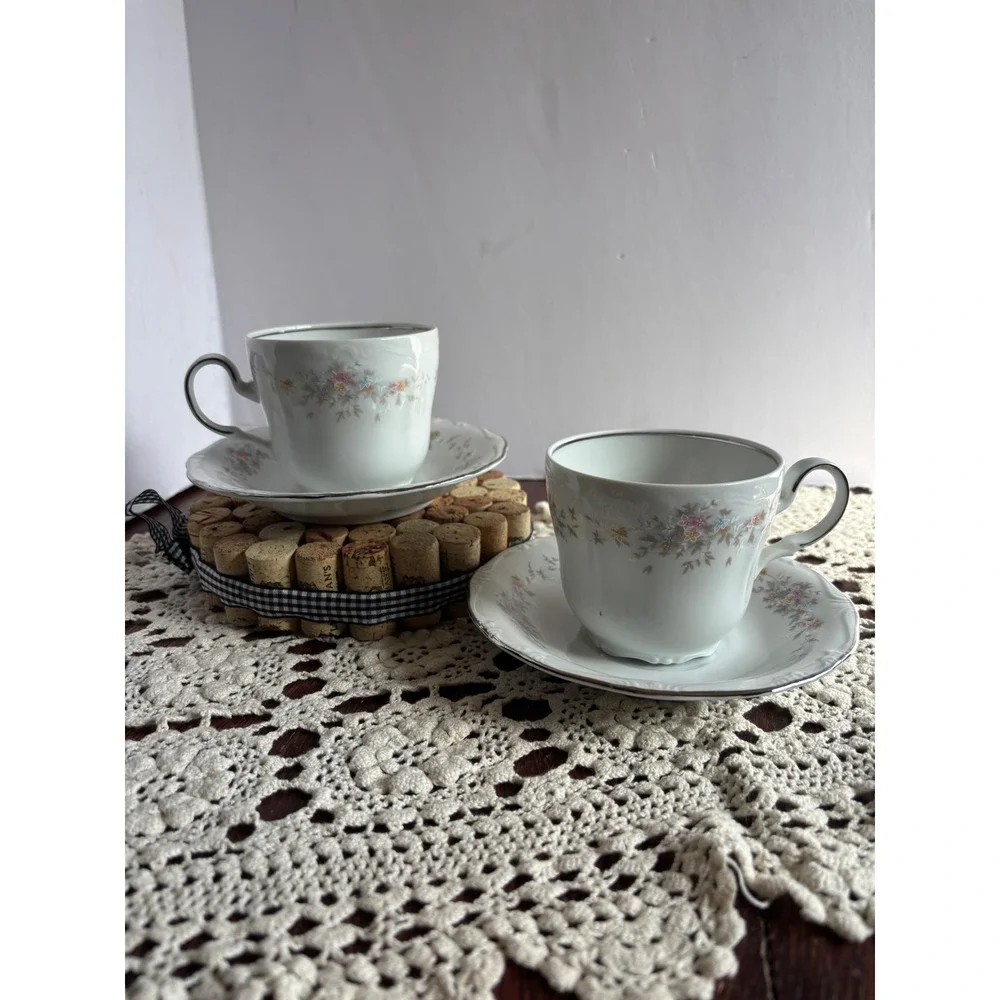 Johann Haviland Bavaria Blue Garland Teacup and‎ Saucer Set Silver Trim Germany